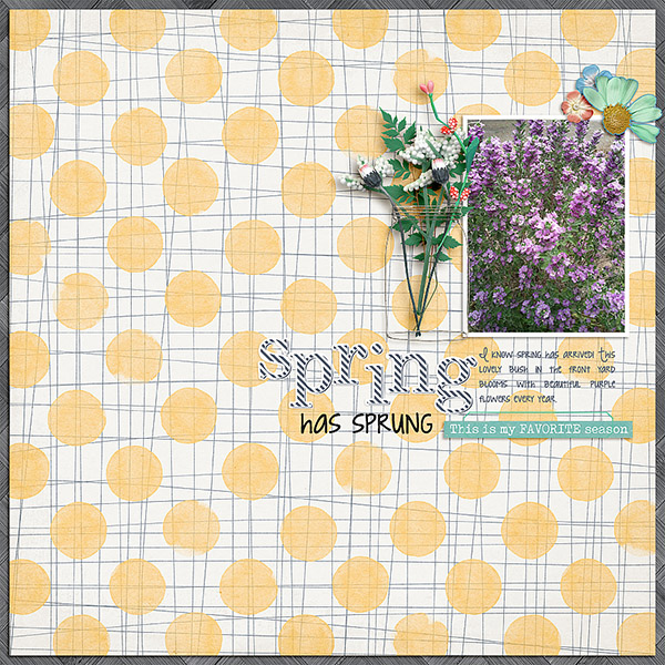 Spring Has Sprung