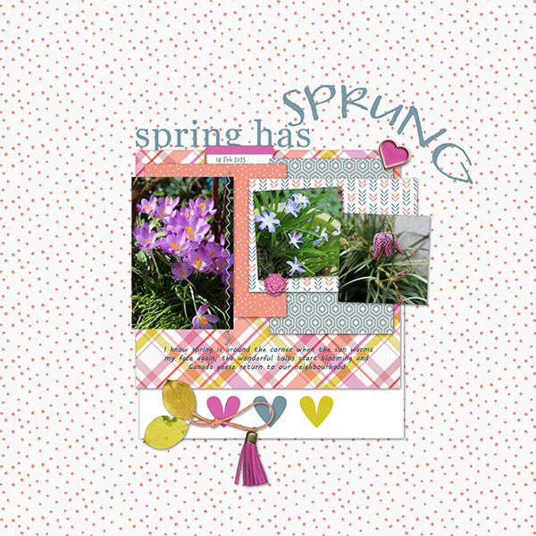 Spring has sprung