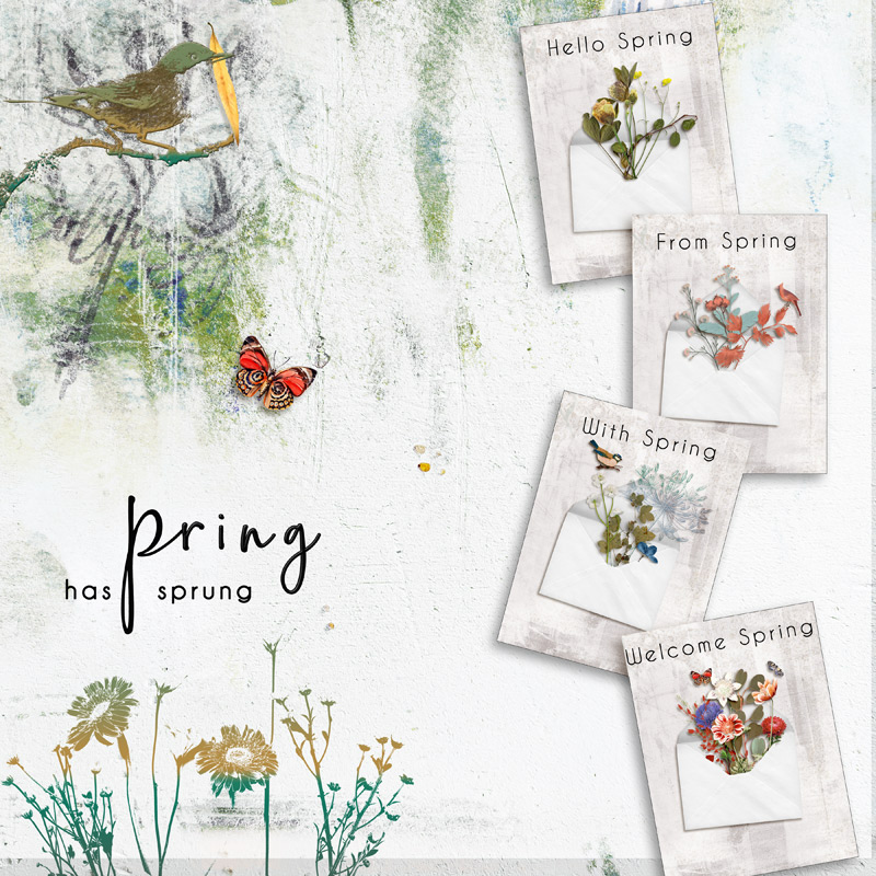 Spring has sprung