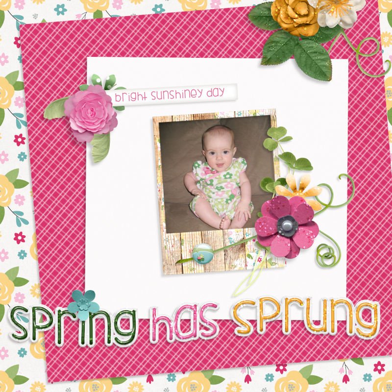 Spring has Sprung