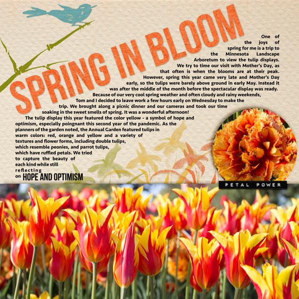 Spring-in-Bloom