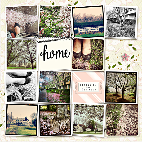 Spring in the District a