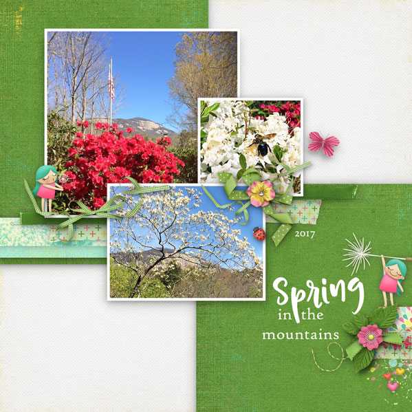 Spring in the Mountains