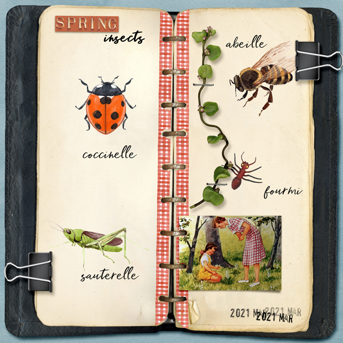 Spring insects