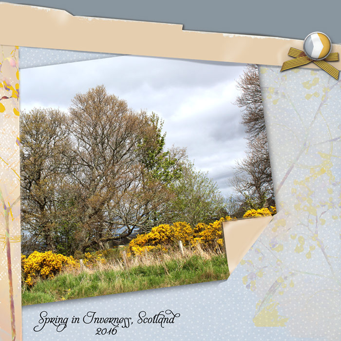 Spring-inverness