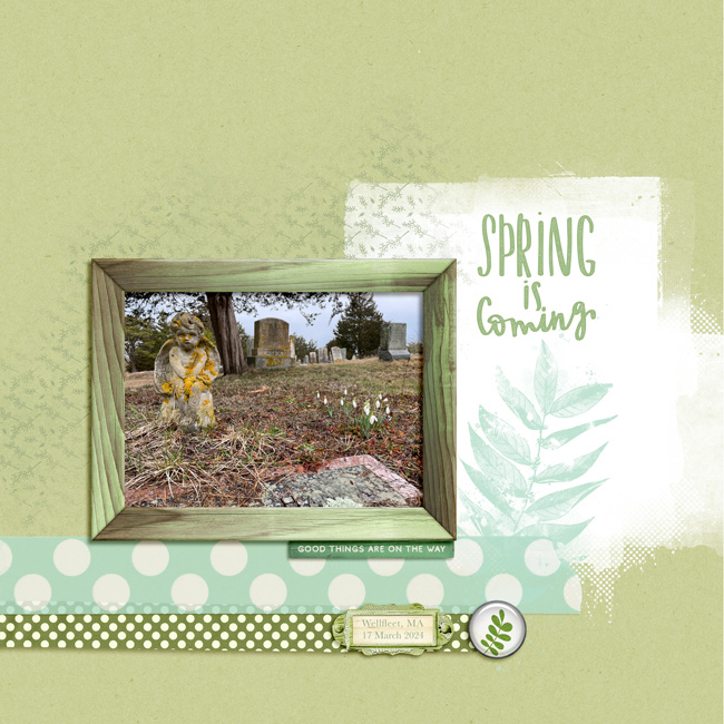 Spring is Coming