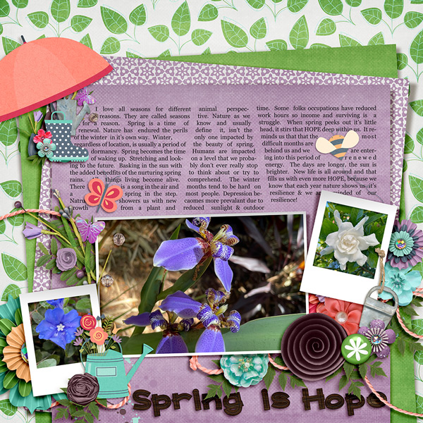 Spring is Hope