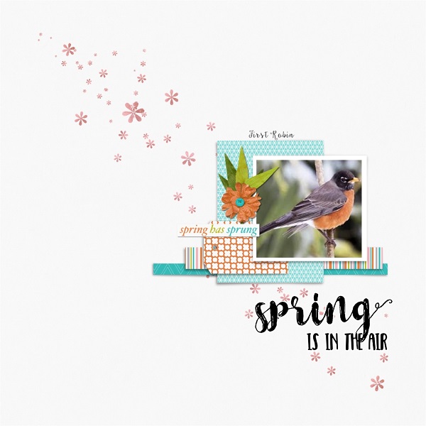 Spring Is In The Air