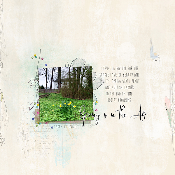 Spring is in the Air