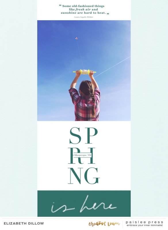 Spring Kite And Sunshine