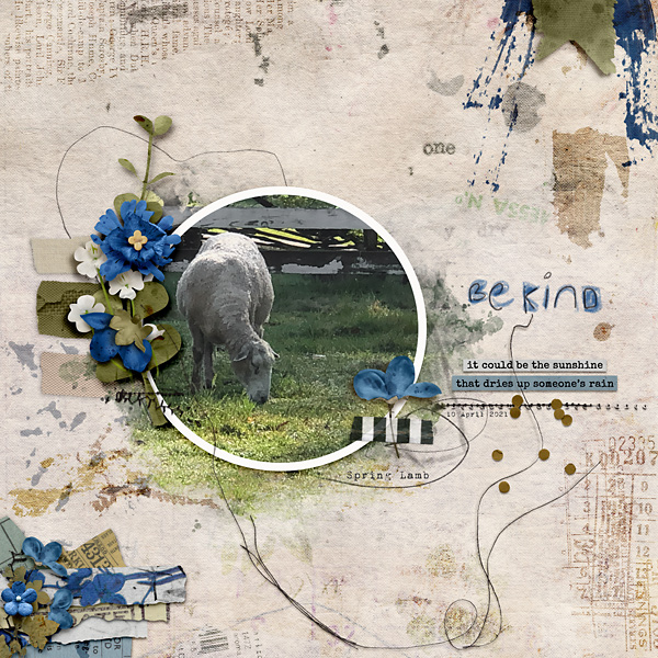 Spring Lamb