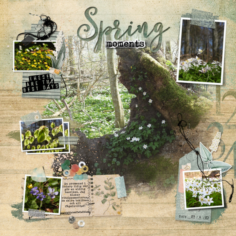 Spring memories