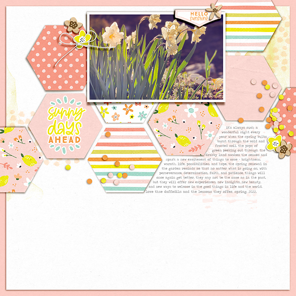 spring perspective | December BYOC Celebration