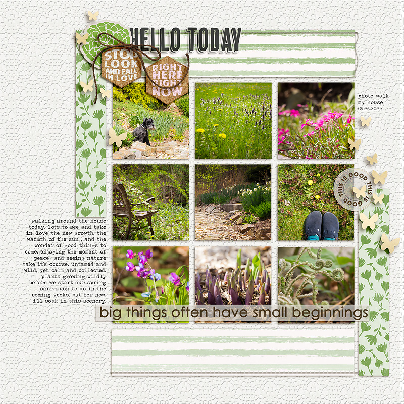 spring photo walk | may '23 photography challenge