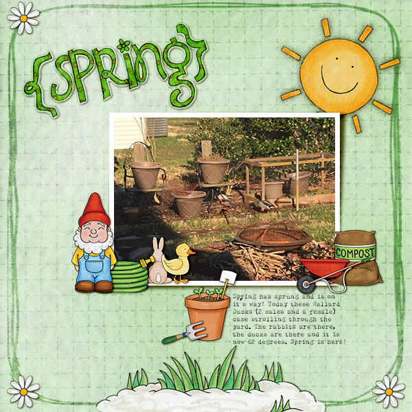Spring (photography challenge)