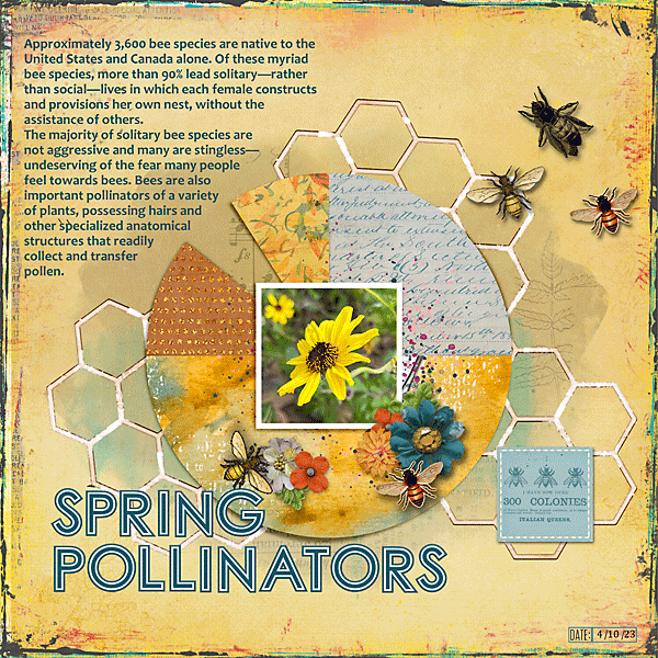 Spring Pollinators