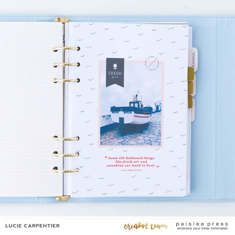 Spring project - Lucie Carpentier - 01