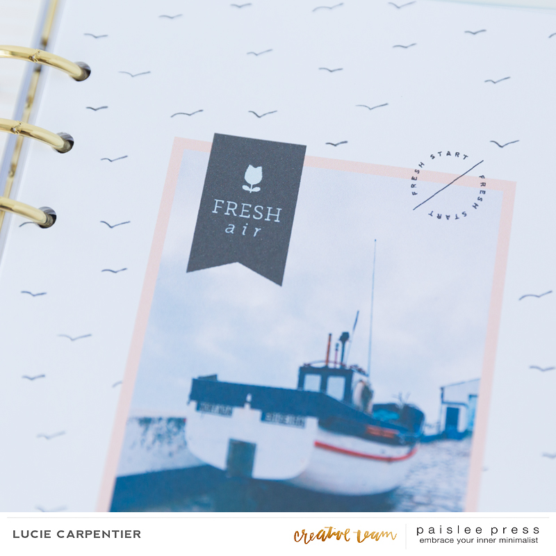 Spring project - Lucie Carpentier - 03
