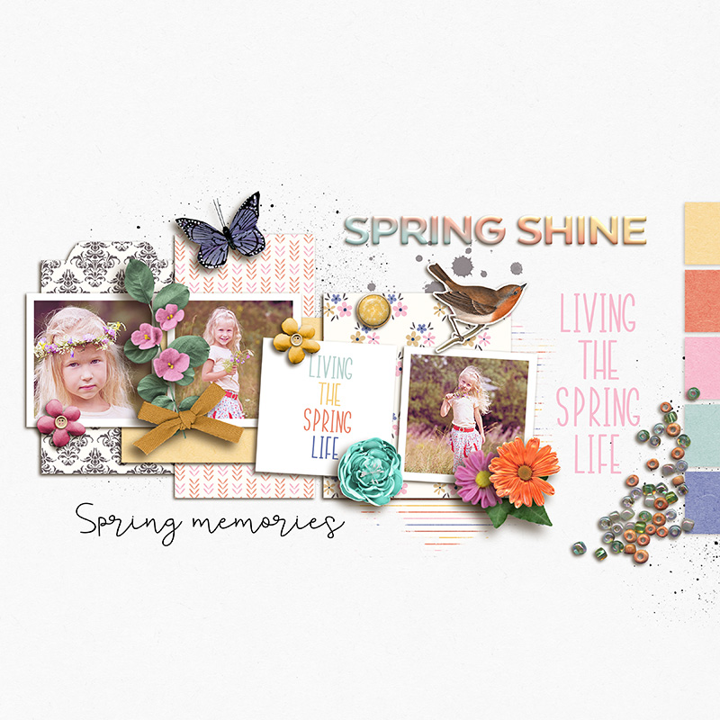 Spring Shine