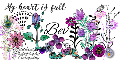 Spring Siggie