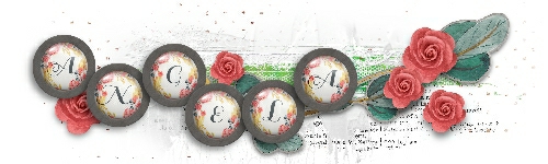 Spring Sigi