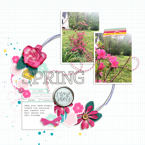 Spring Snapshots