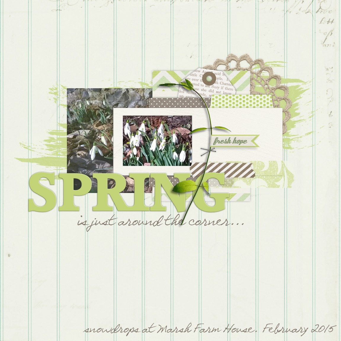 Spring snowdrops