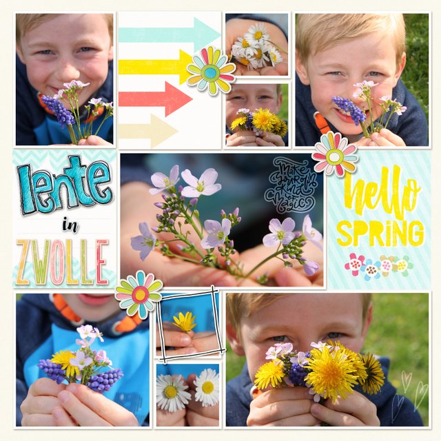 spring spring spring