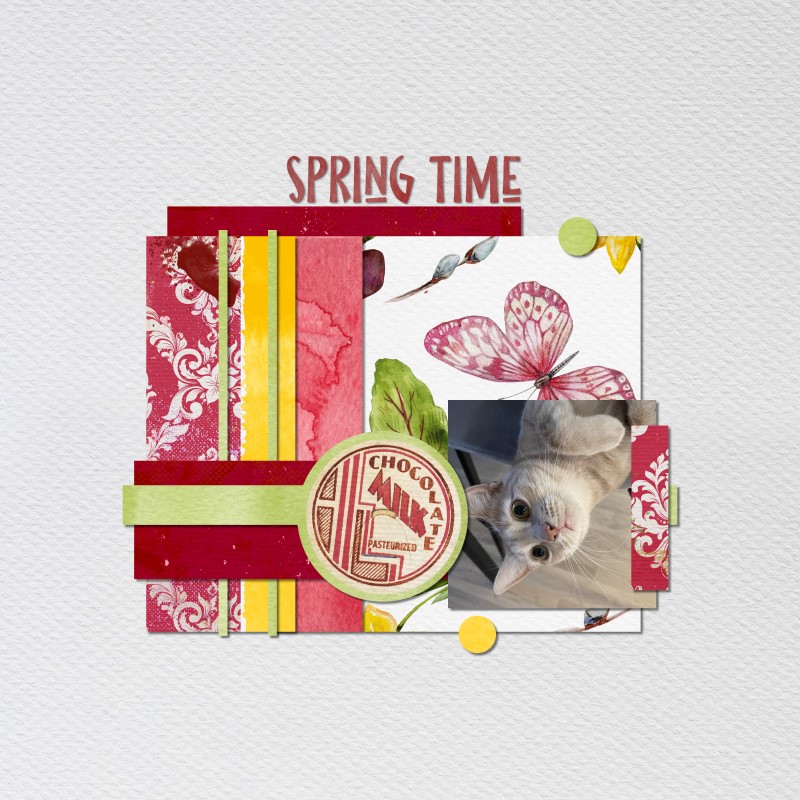 Spring time