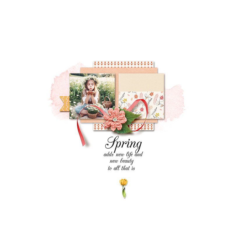 Spring Time