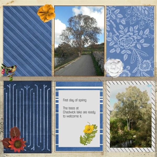 spring  trees
