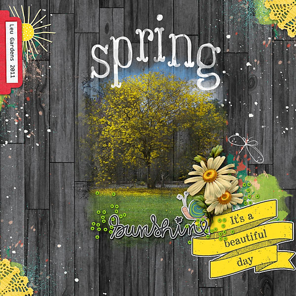 Spring