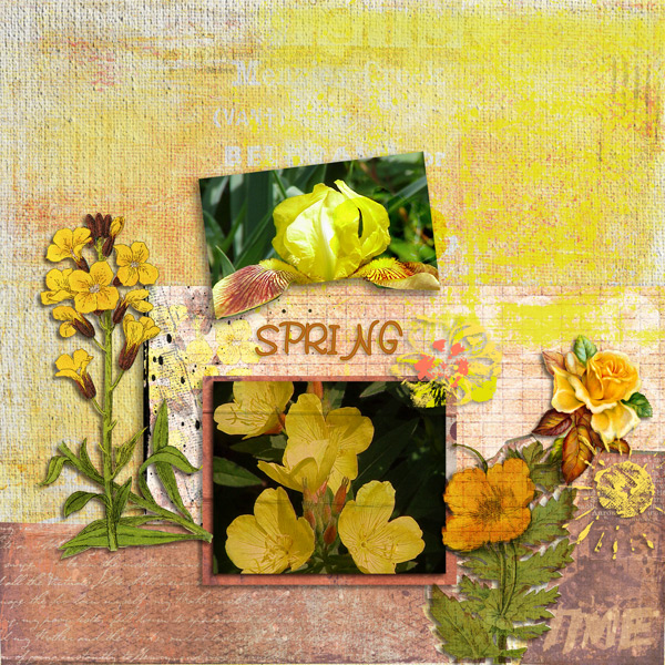 spring