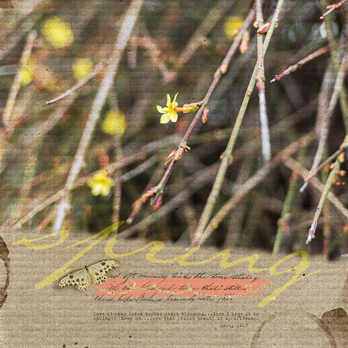 spring