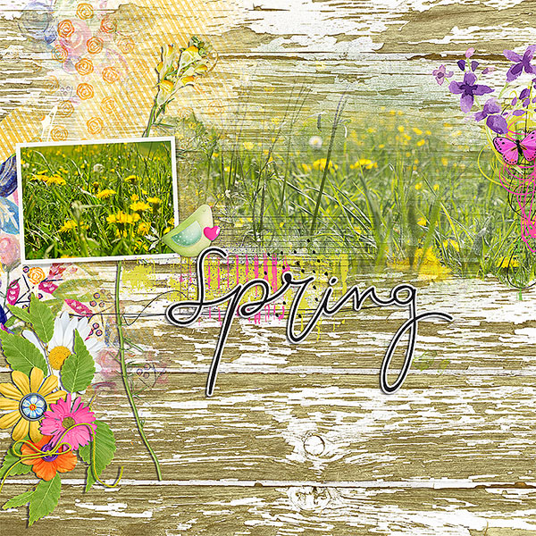 spring