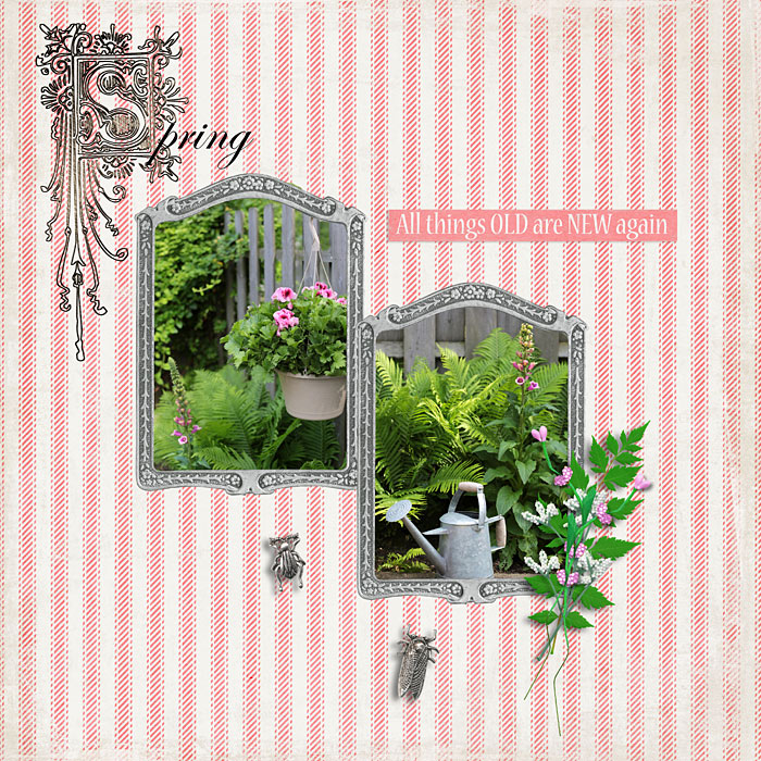 Spring