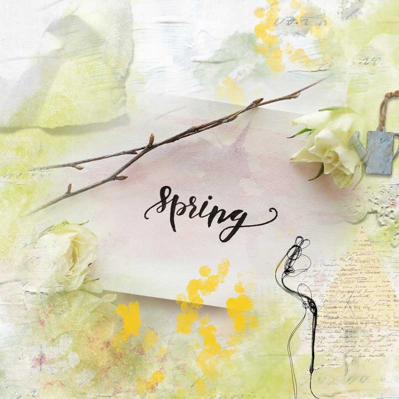 spring