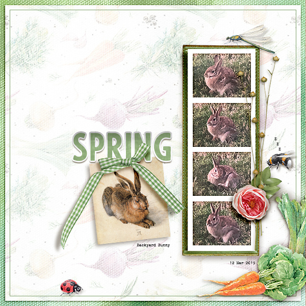 Spring
