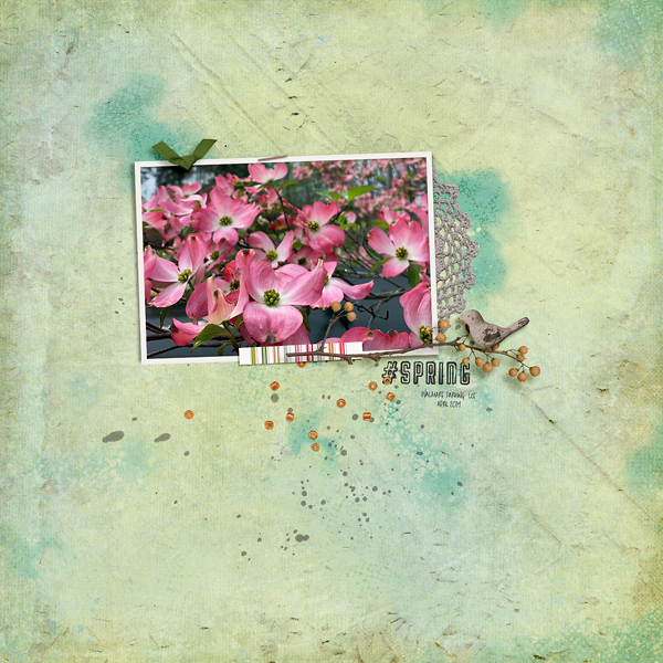 Spring