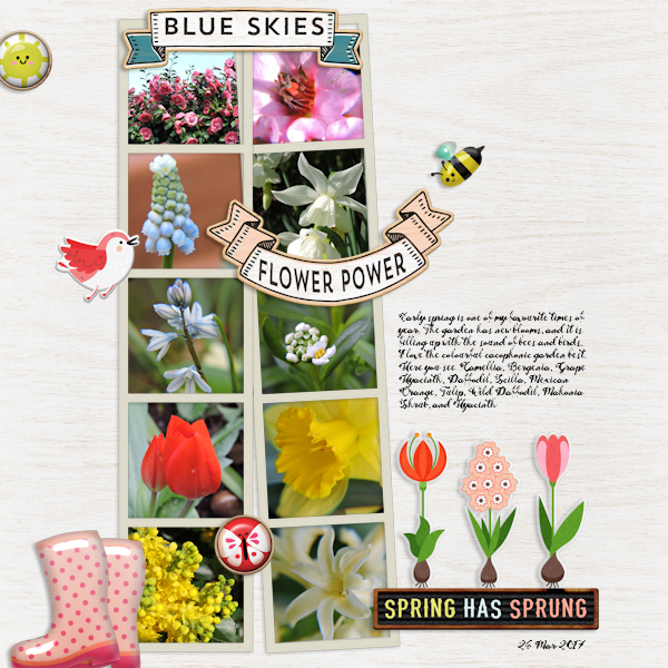spring