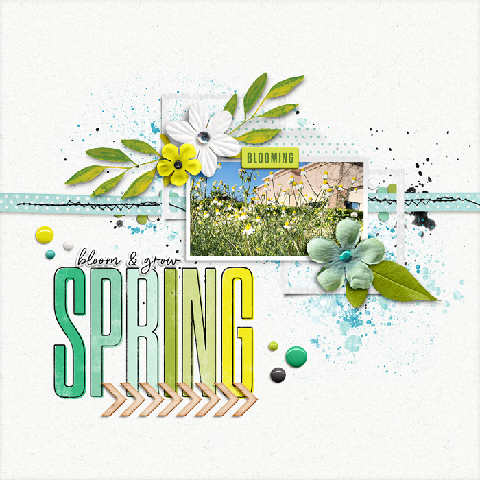 spring