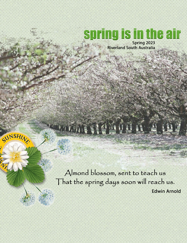Spring