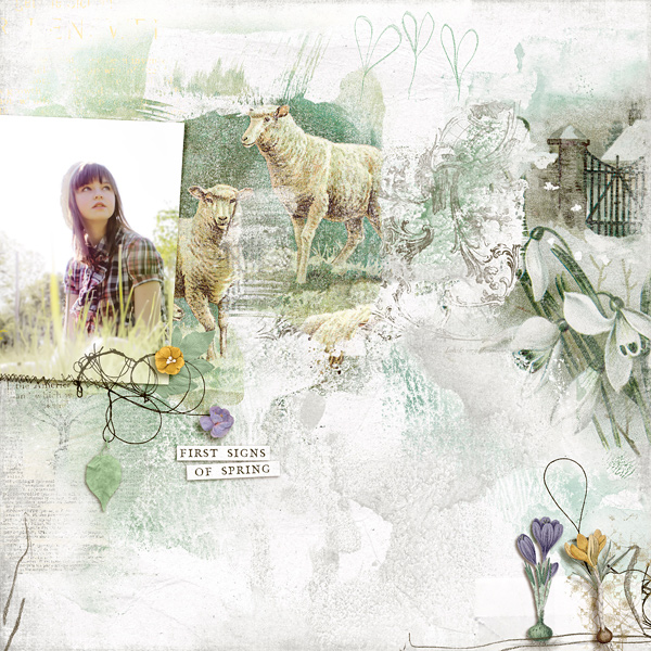 spring