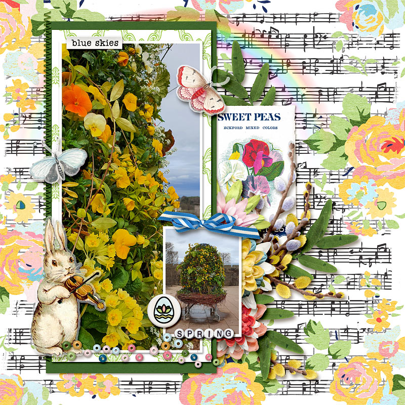 Spring