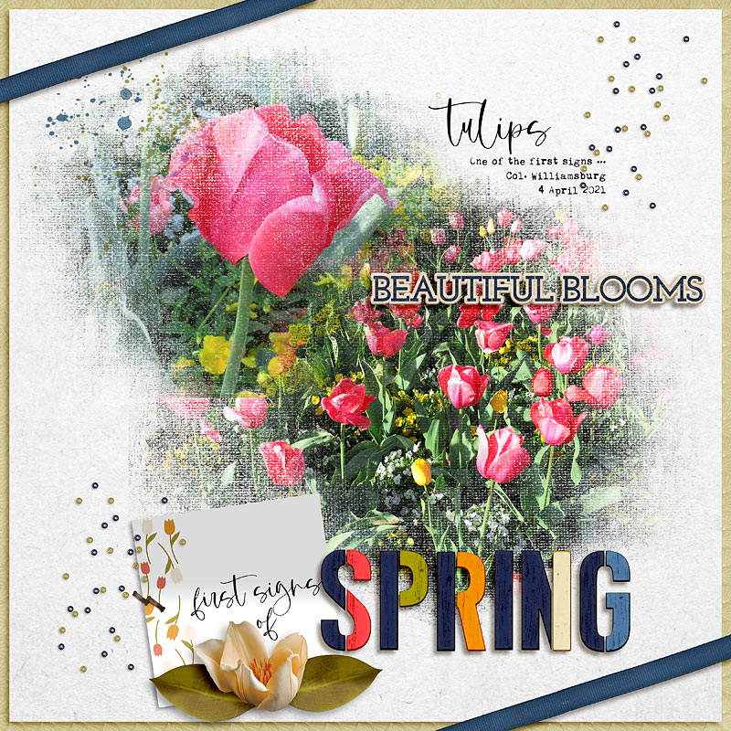Spring