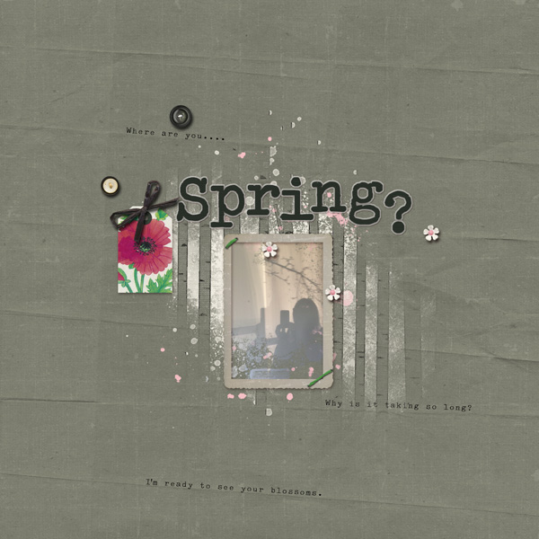 Spring?