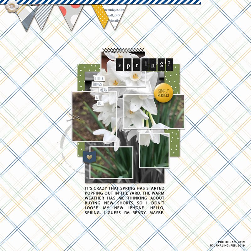 Spring022019TCSC