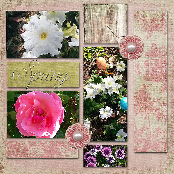 Spring_edited-1Web