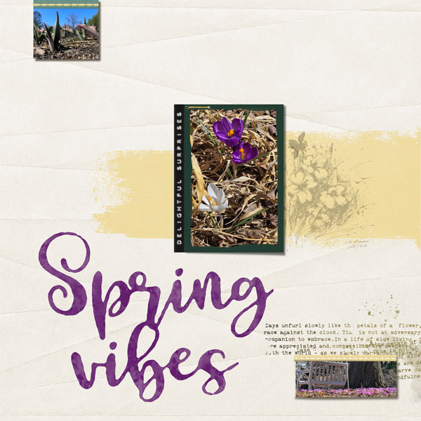 Spring_Vibes