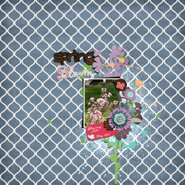 #SpringBloom